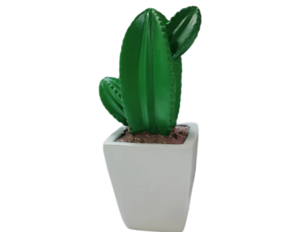 A.W. Cactus 16 cm (choose a color) For Discount