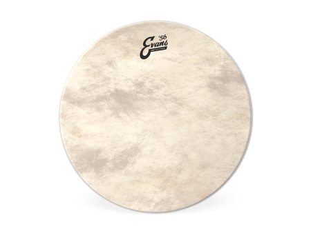 Evans 18  EQ4 Calftone Bass Drum Head Fashion