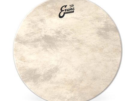 Evans 26  EQ4 Calftone Bass Drum Head Online Sale