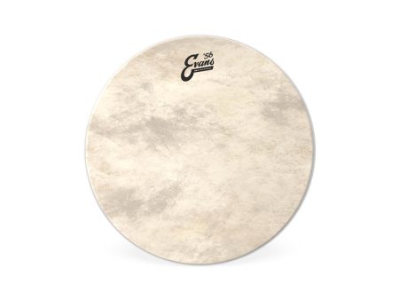 Evans 16  EQ4 Calftone Bass Drum Head Discount