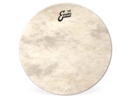 Evans 22  EQ4 Calftone Bass Drum Head For Discount