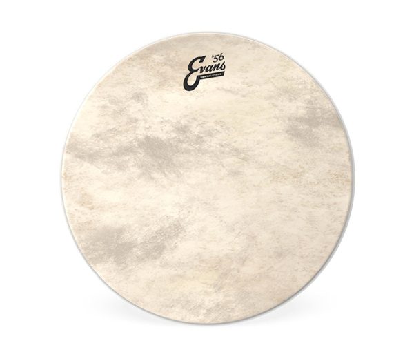 Evans 22  EQ4 Calftone Bass Drum Head For Discount