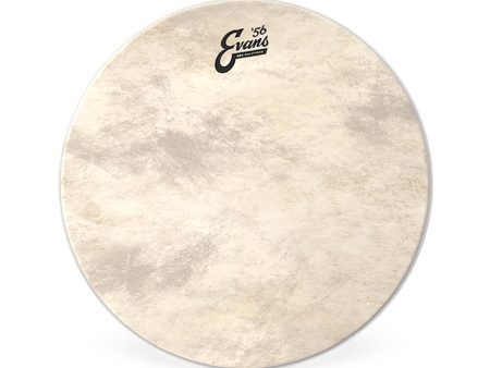 Evans 24  EQ4 Calftone Bass Drum Head Hot on Sale