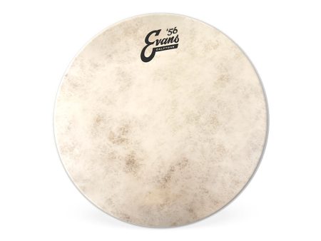 Evans Calftone 15  Drum Head Cheap