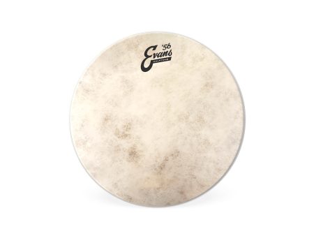 Evans Calftone 8  Drum Head For Sale