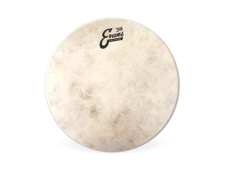 Evans Calftone 10  Drum Head For Discount