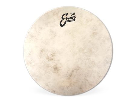 Evans Calftone 14  Drum Head Online Sale