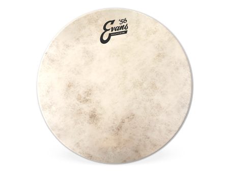 Evans 16  Calftone Tom Hoop Drum Head Supply