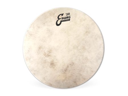 Evans Calftone 12  Drum Head Discount