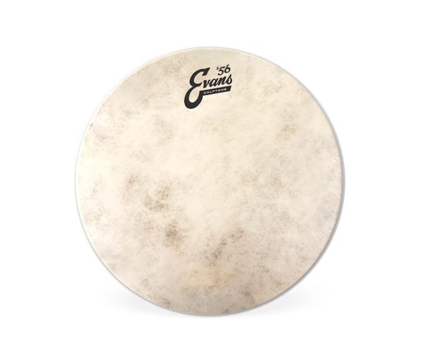 Evans Calftone 12  Drum Head Discount